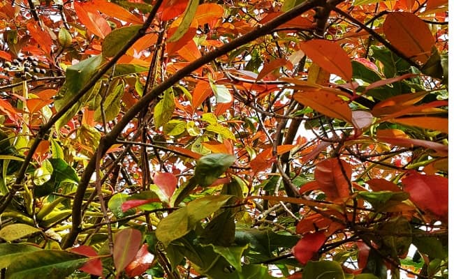 best-newsletter-by-ezeeart